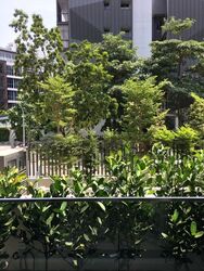 38 Jervois (D10), Apartment #508940831